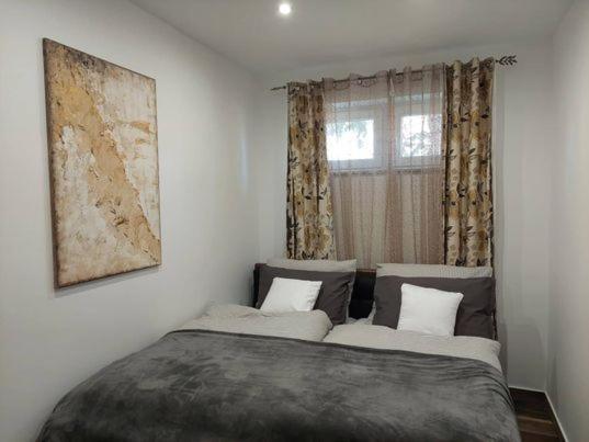 Dr Becsey Luxury Apartman Bekescsaba Exteriér fotografie